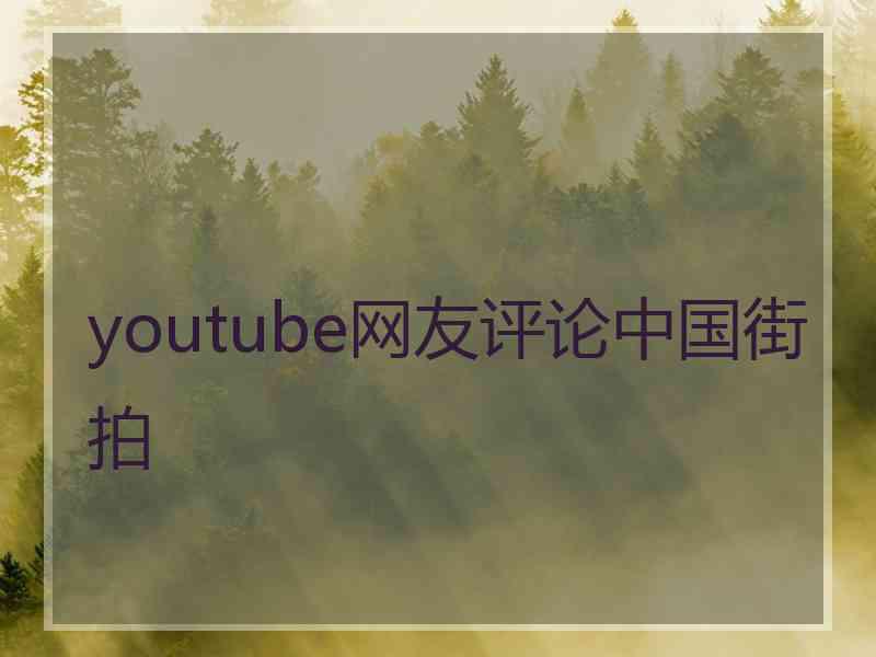 youtube网友评论中国街拍