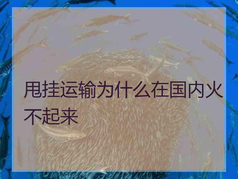 甩挂运输为什么在国内火不起来