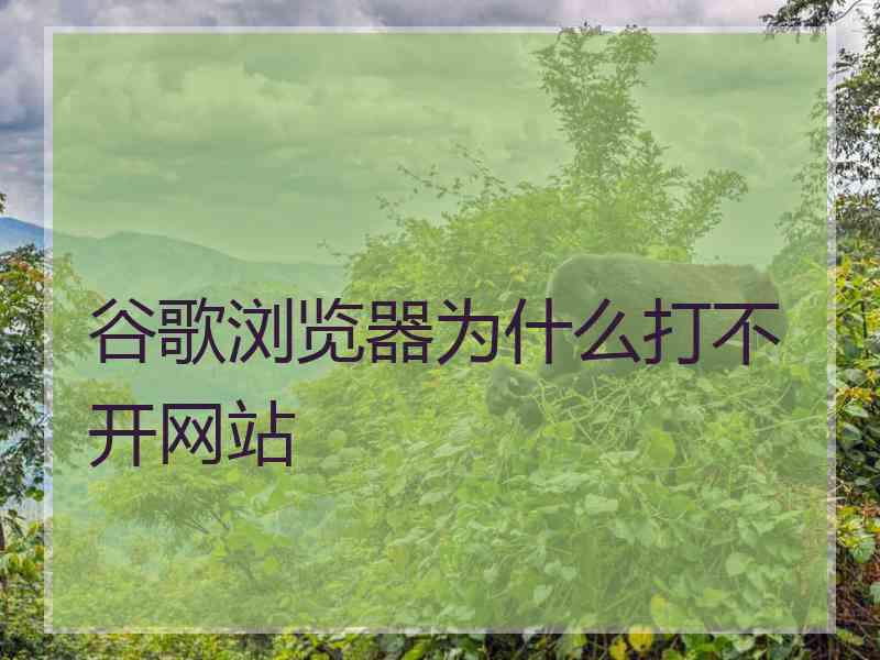 谷歌浏览器为什么打不开网站