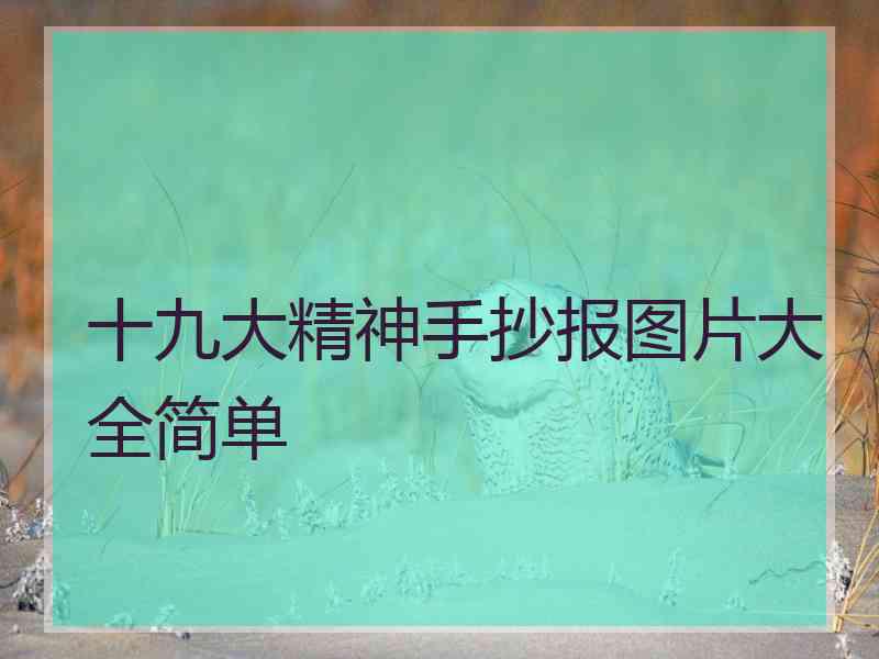 十九大精神手抄报图片大全简单