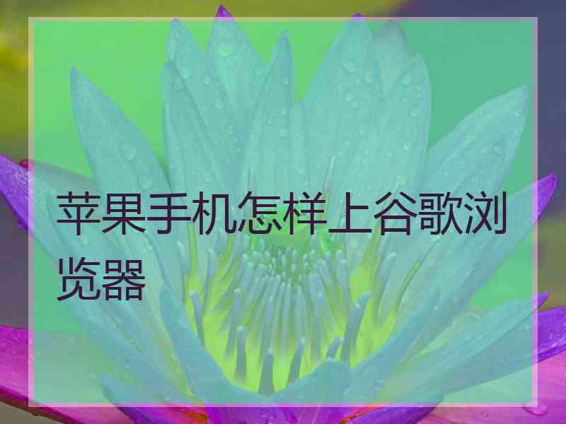 苹果手机怎样上谷歌浏览器