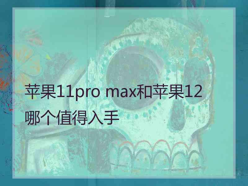 苹果11pro max和苹果12哪个值得入手