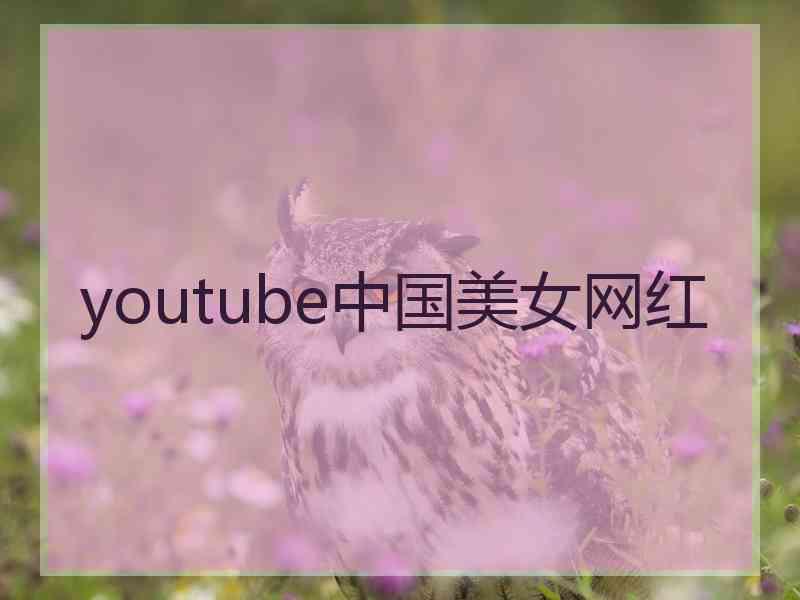 youtube中国美女网红