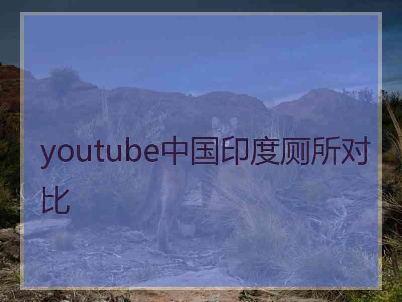 youtube中国印度厕所对比