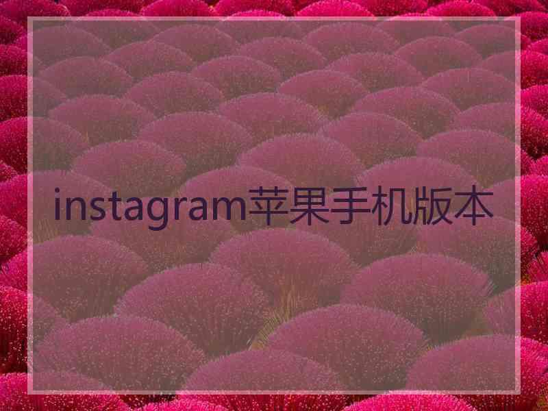 instagram苹果手机版本