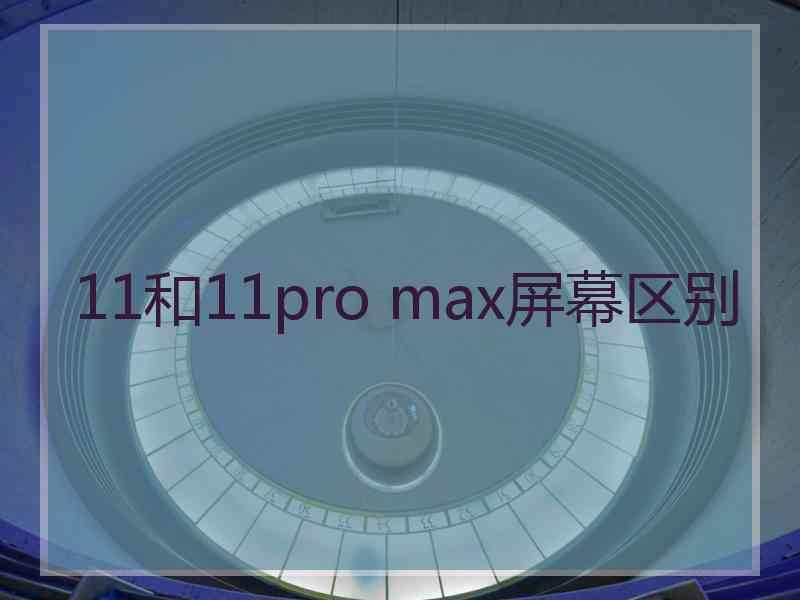 11和11pro max屏幕区别