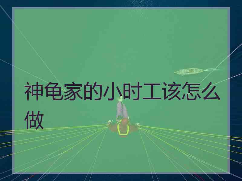 神龟家的小时工该怎么做