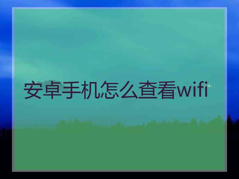 安卓手机怎么查看wifi