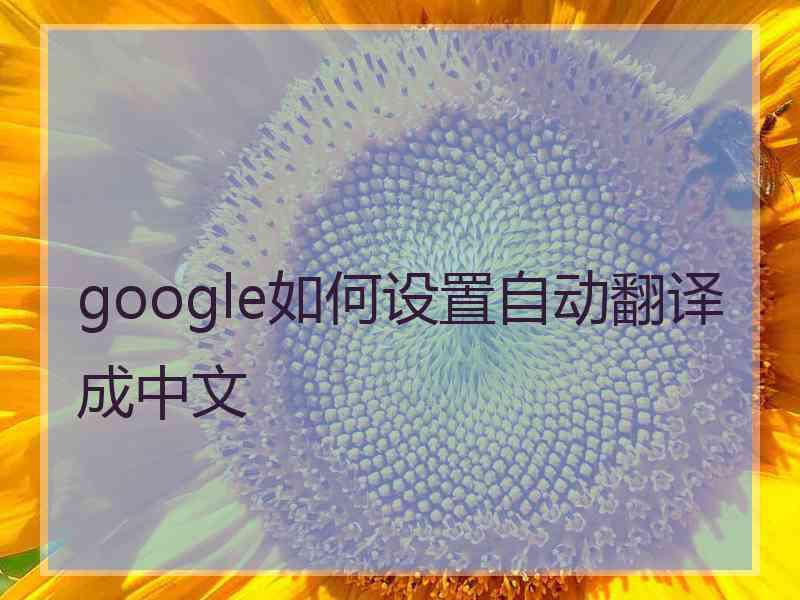 google如何设置自动翻译成中文