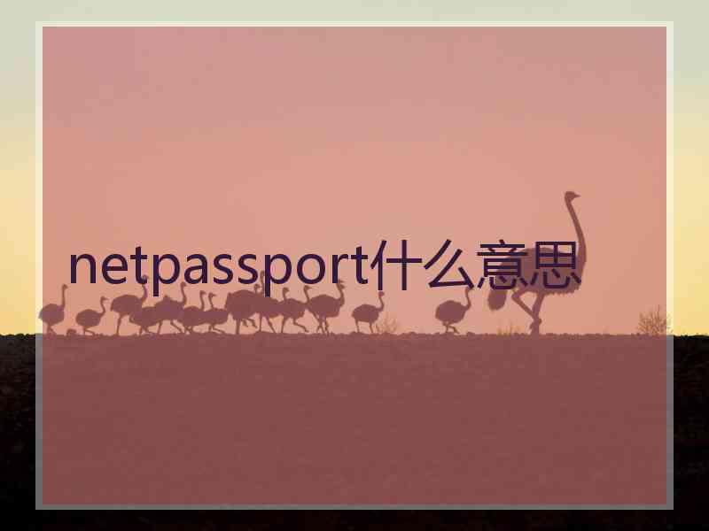 netpassport什么意思