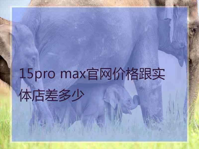 15pro max官网价格跟实体店差多少