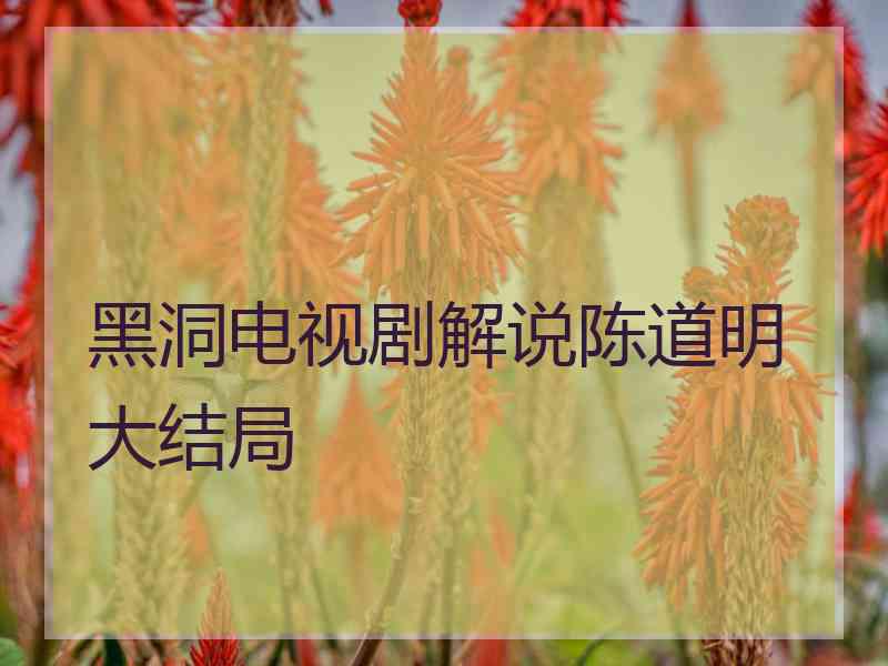 黑洞电视剧解说陈道明大结局