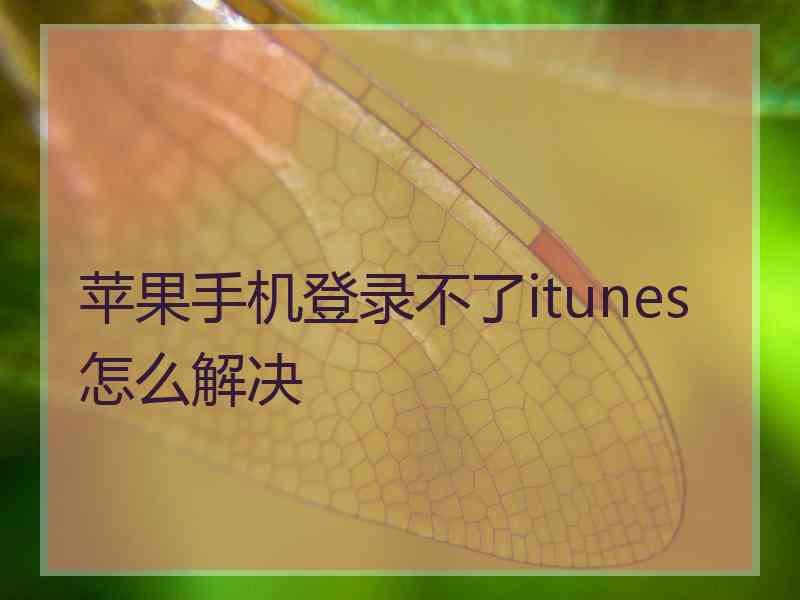 苹果手机登录不了itunes怎么解决