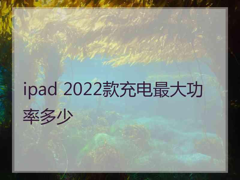 ipad 2022款充电最大功率多少