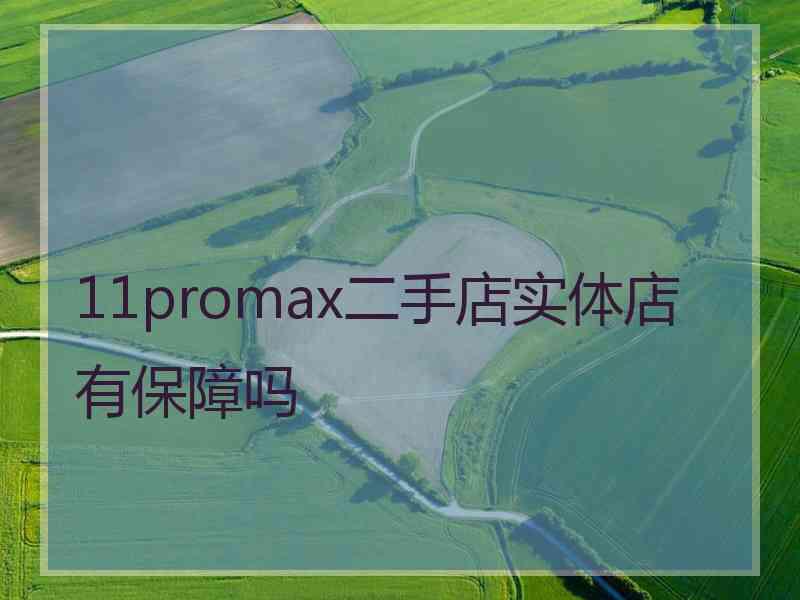 11promax二手店实体店有保障吗