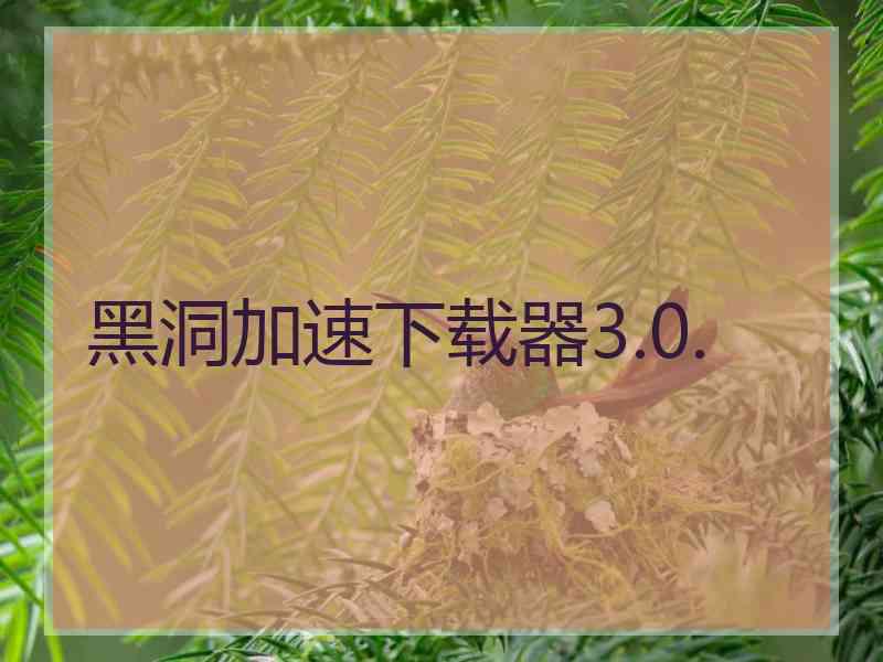 黑洞加速下载器3.0.