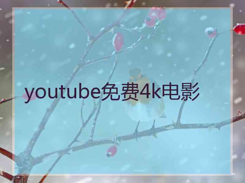 youtube免费4k电影