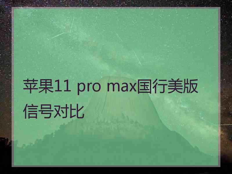 苹果11 pro max国行美版信号对比