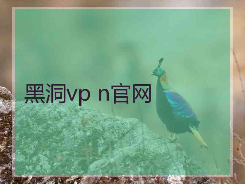 黑洞vp n官网