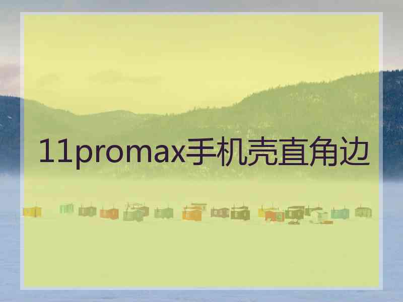 11promax手机壳直角边