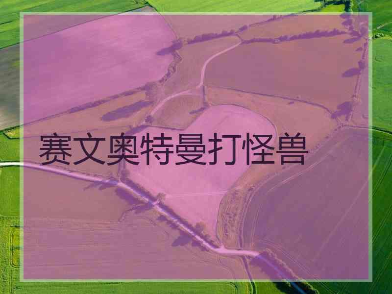 赛文奥特曼打怪兽