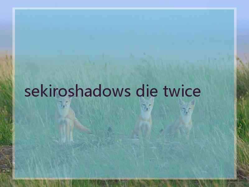 sekiroshadows die twice