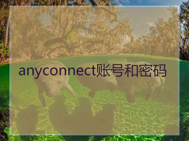 anyconnect账号和密码