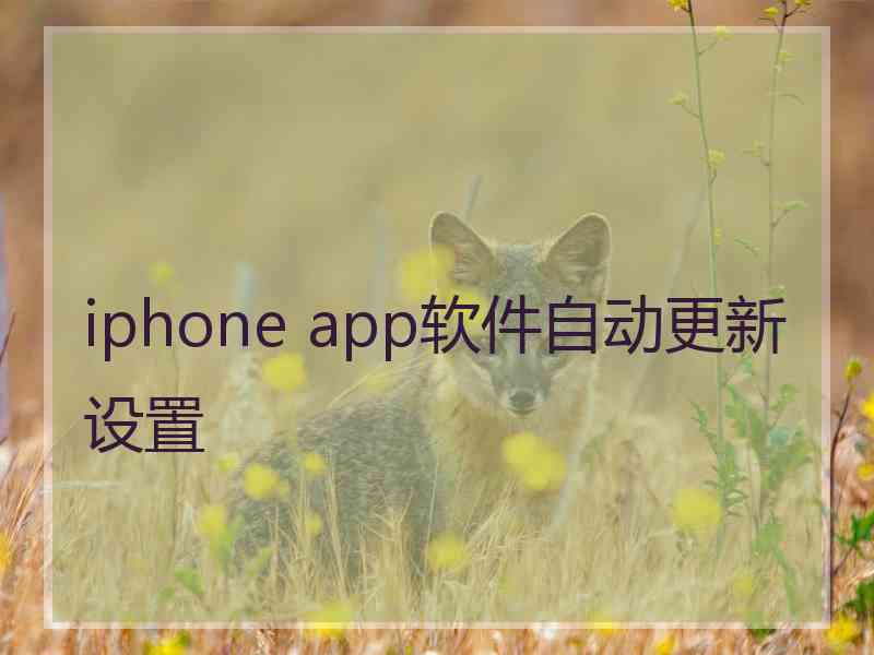 iphone app软件自动更新设置