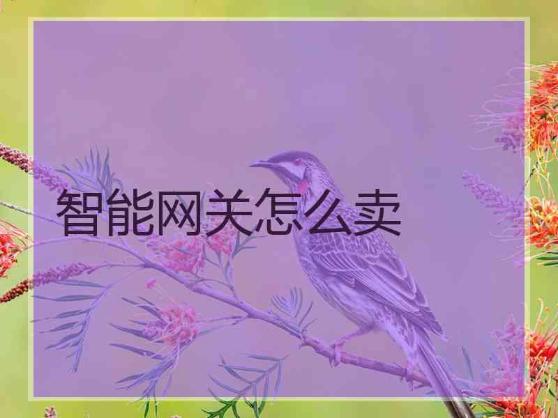 智能网关怎么卖