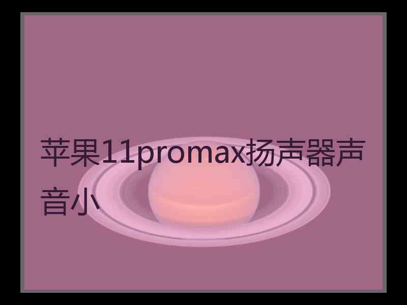 苹果11promax扬声器声音小