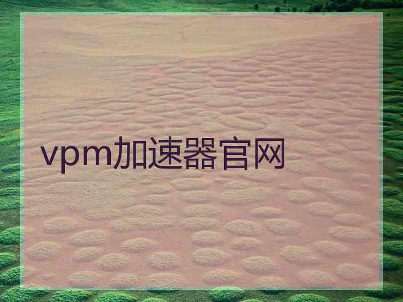 vpm加速器官网