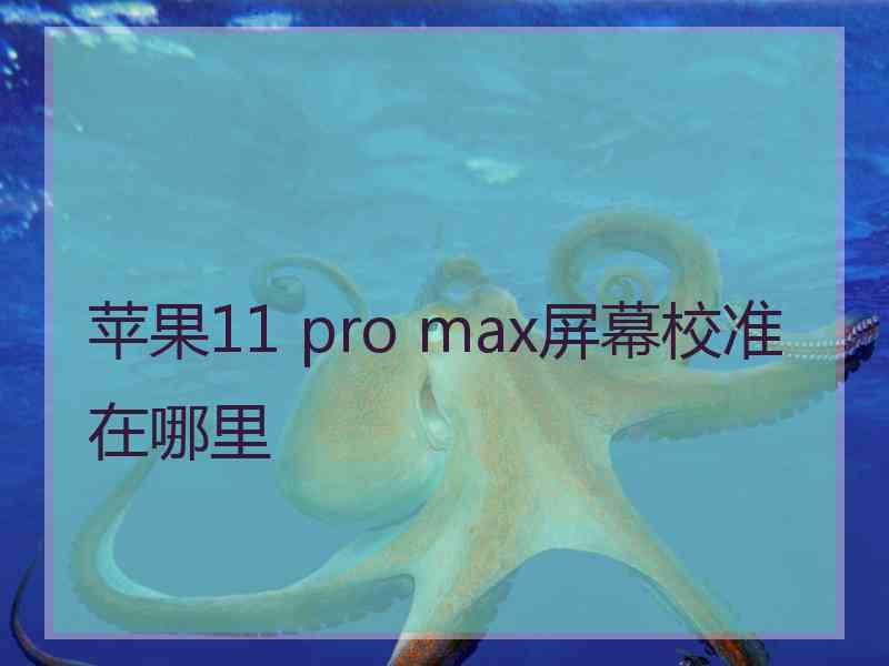 苹果11 pro max屏幕校准在哪里