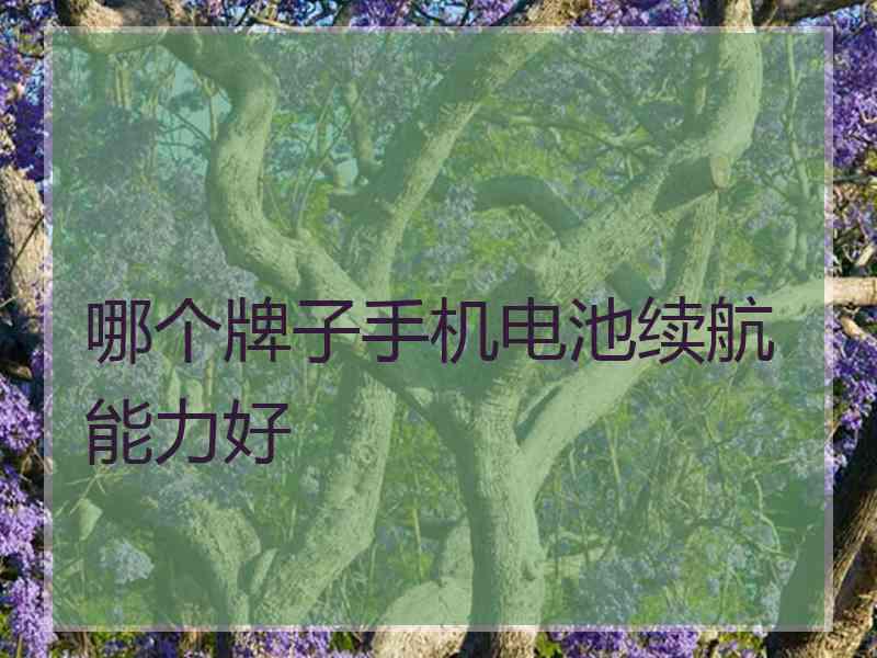 哪个牌子手机电池续航能力好