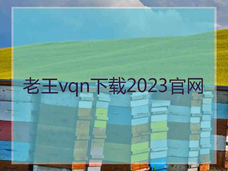 老王vqn下载2023官网