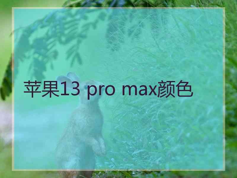 苹果13 pro max颜色