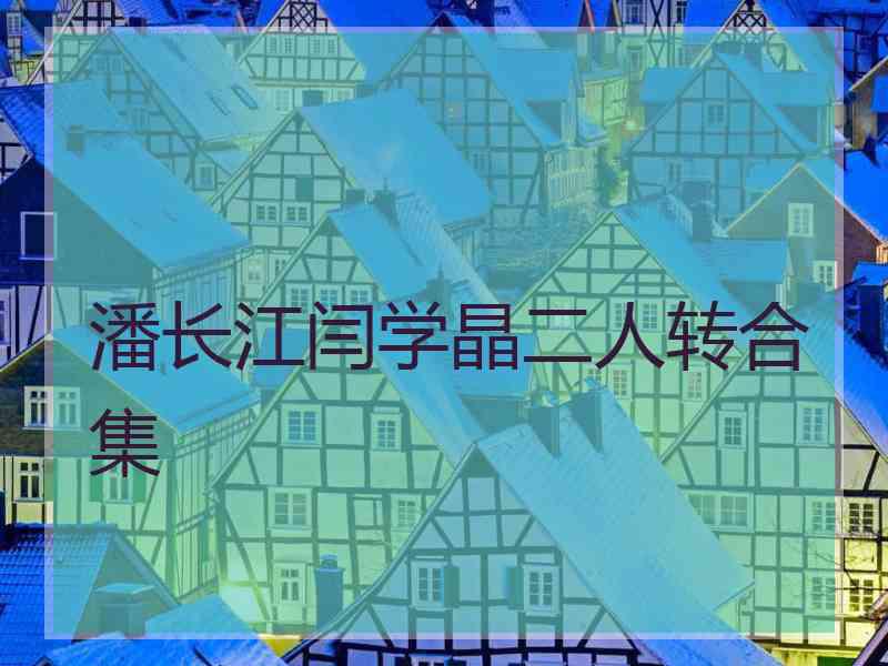 潘长江闫学晶二人转合集