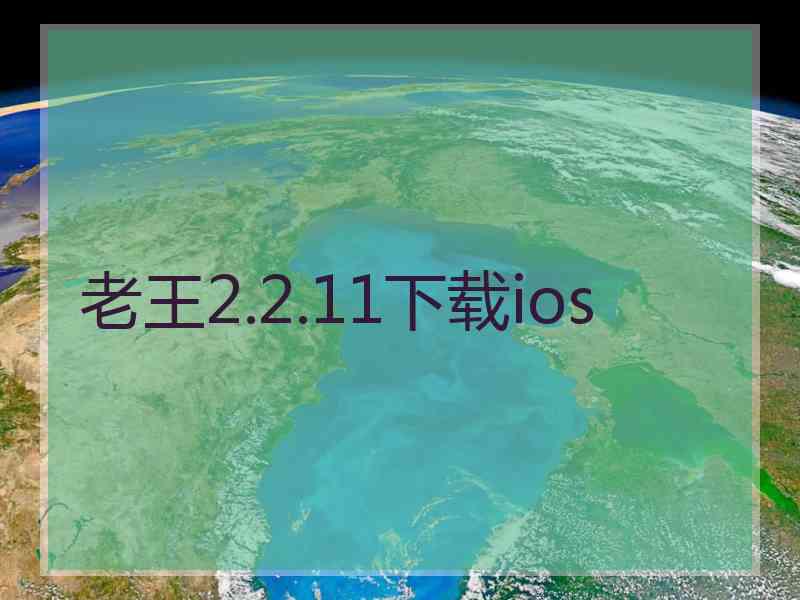 老王2.2.11下载ios