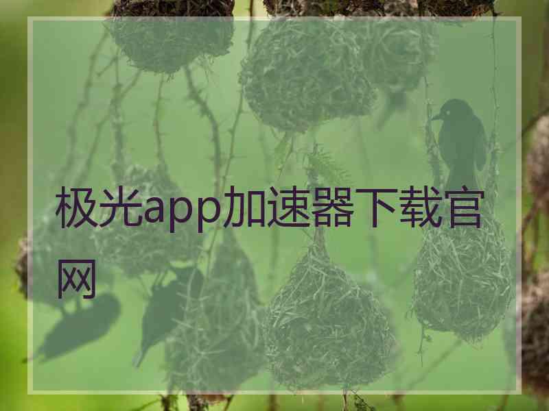 极光app加速器下载官网