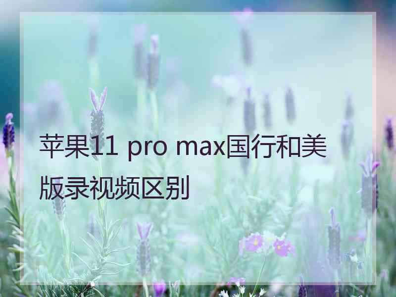 苹果11 pro max国行和美版录视频区别