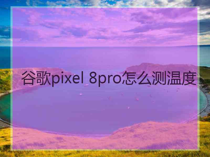 谷歌pixel 8pro怎么测温度