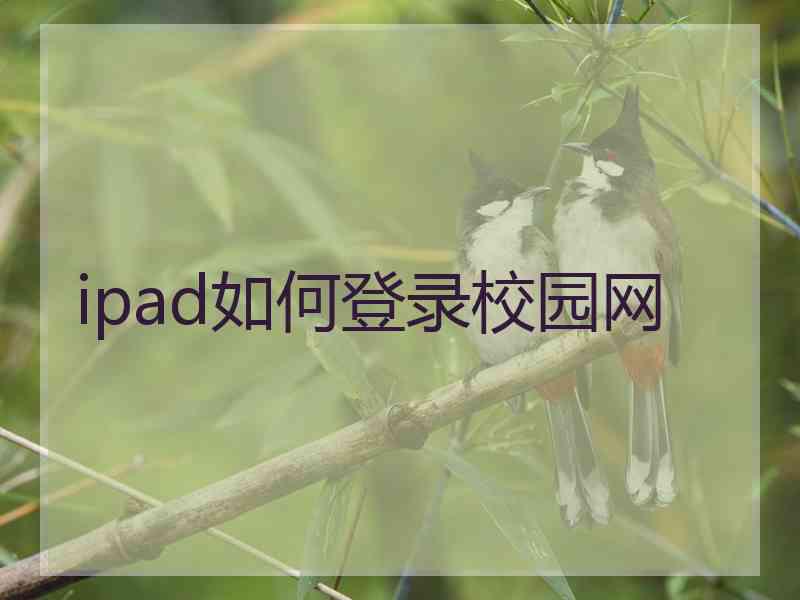 ipad如何登录校园网