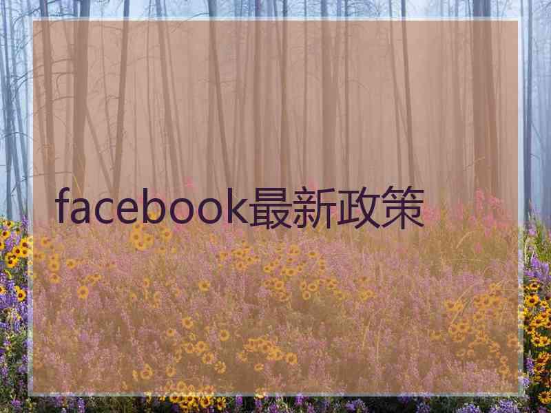 facebook最新政策