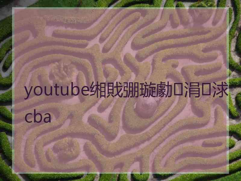 youtube缃戝弸璇勮涓浗cba