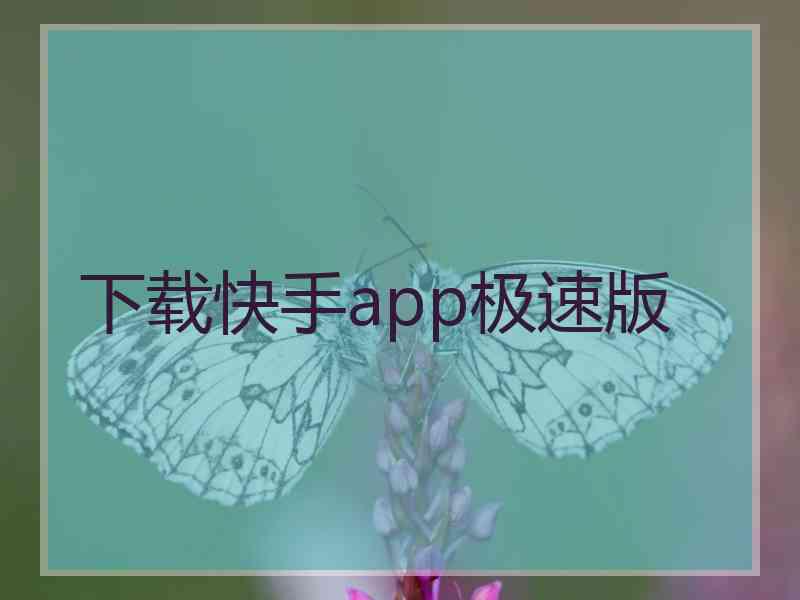 下载快手app极速版