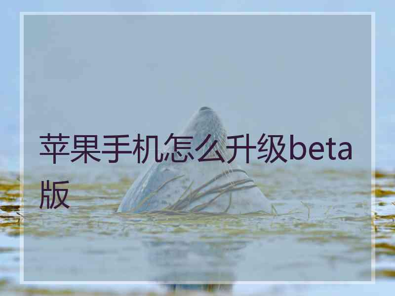 苹果手机怎么升级beta版