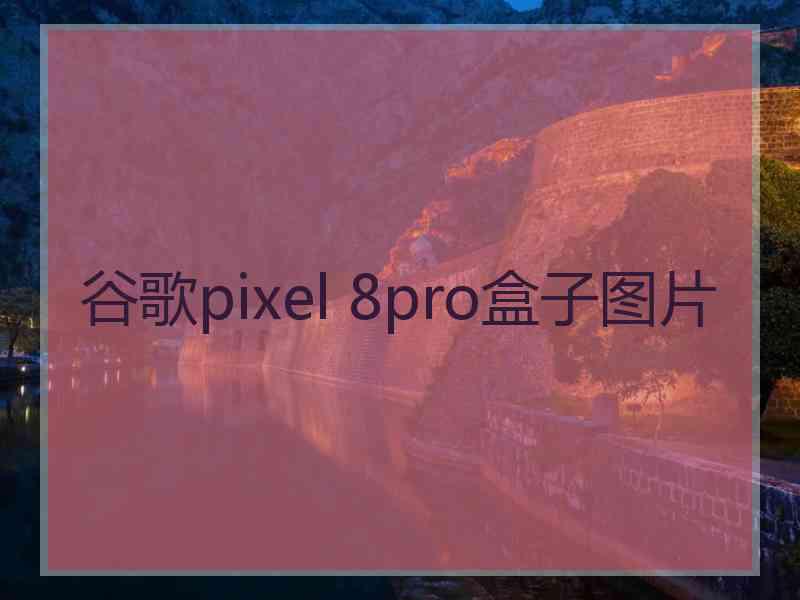 谷歌pixel 8pro盒子图片