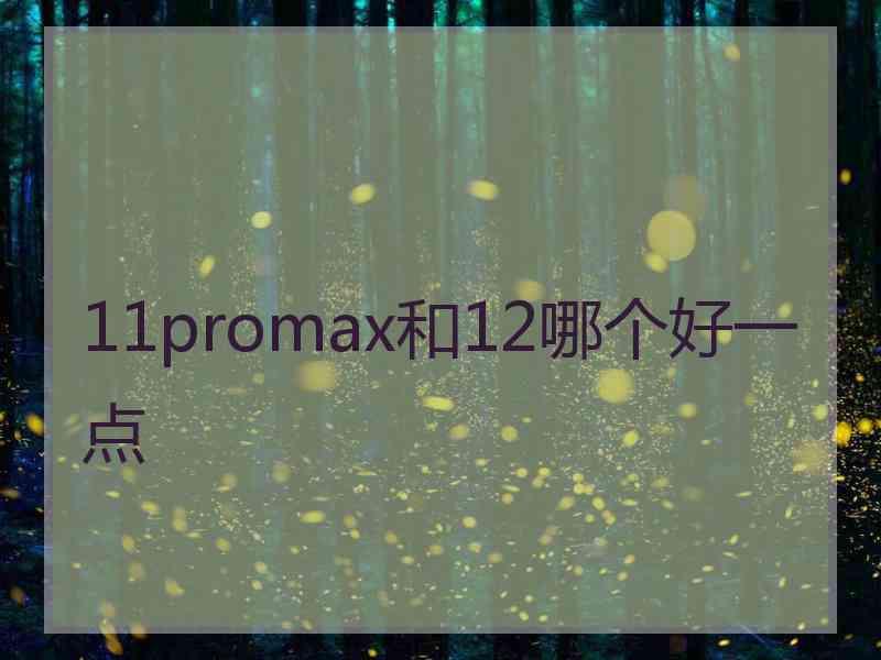 11promax和12哪个好一点