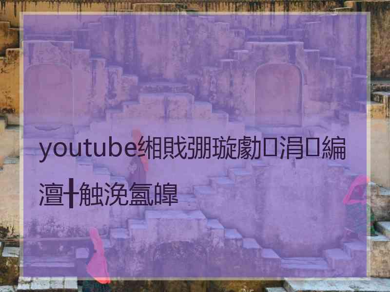 youtube缃戝弸璇勮涓編澶╂触浼氳皥