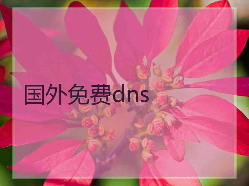 国外免费dns