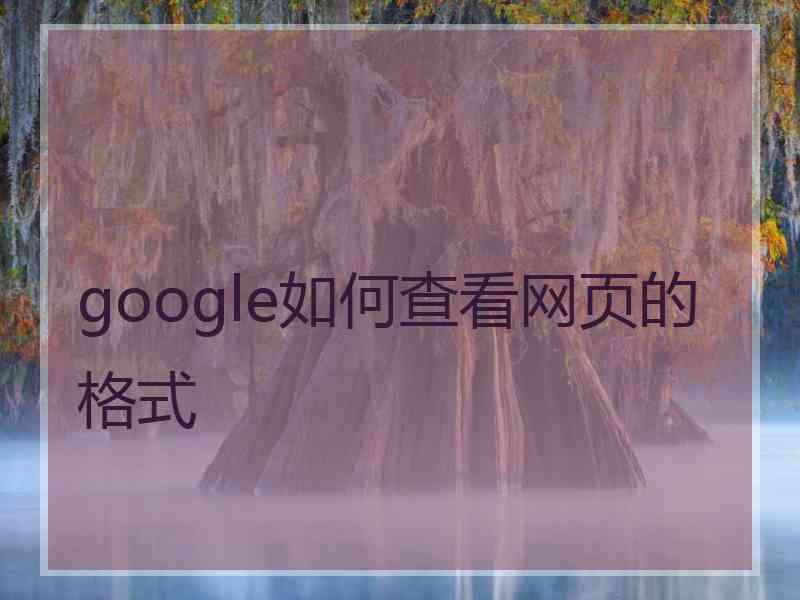 google如何查看网页的格式